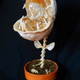 Illustration for article titled This Audrey II skeleton will give you fang-filled emLittle Shop of Horrors/em nightmares